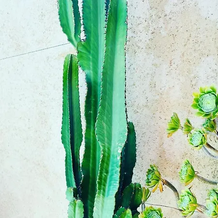 Air-conditioned Authentic With Sea View, Terraces And Swimming Pool Monticello