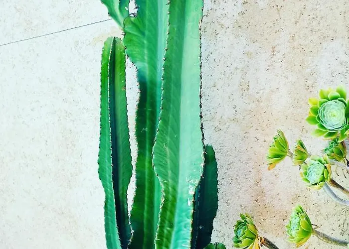 Air-conditioned Authentic With Sea View, Terraces And Swimming Pool Monticello